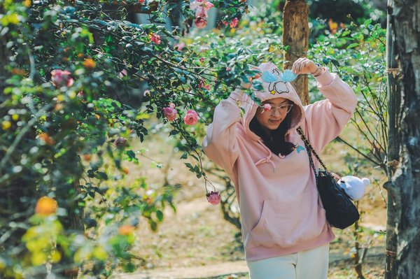 Solutions alternatives à indy : découvrez votre option idéale